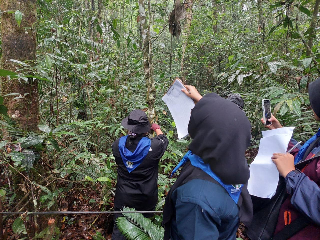 Forestry Study Programme Holds Introduction to Forest Eco