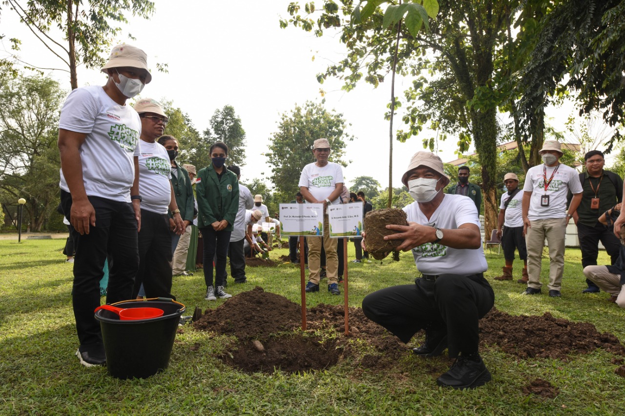 Coordinating Minister for PMK Planting Trees at USU