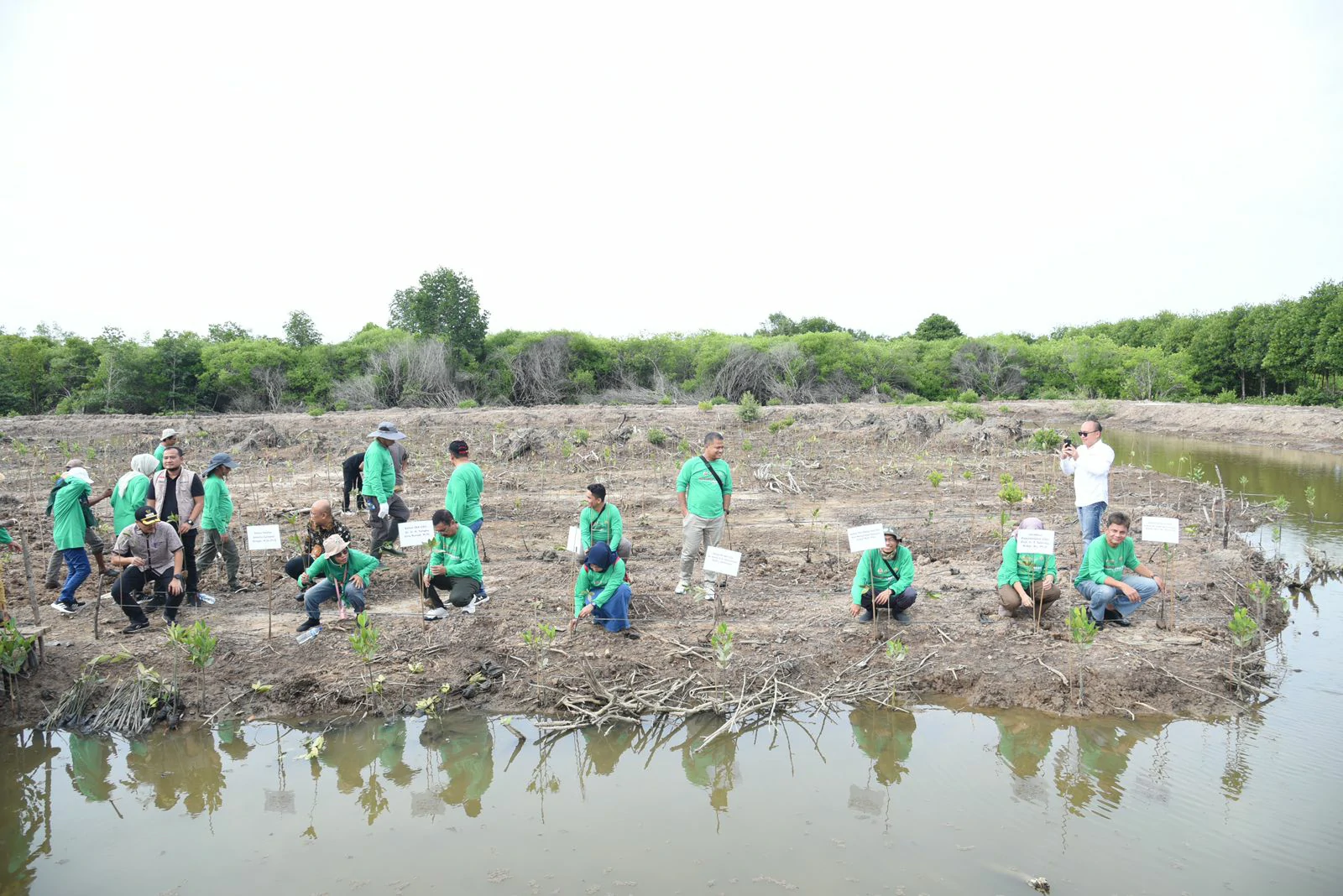 Green the Coast, Green the Nation with IKA-USU SUMUT