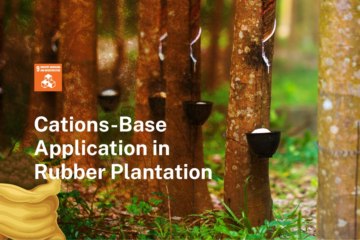 Turning Rubber into Gold: The Secret of Magic Fertilizer | Universitas  Sumatera Utara