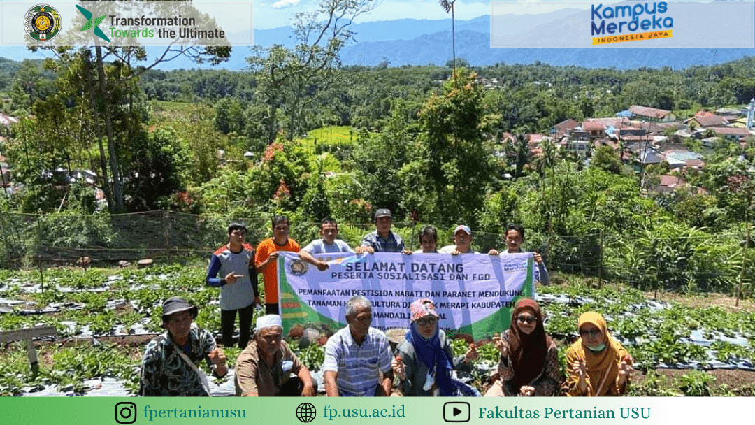 Community Service: Utilization of Vegetable Pesticides and Paranets to Support Horticultural Crops in Sorik Merapi, Mandailing Natal Regency