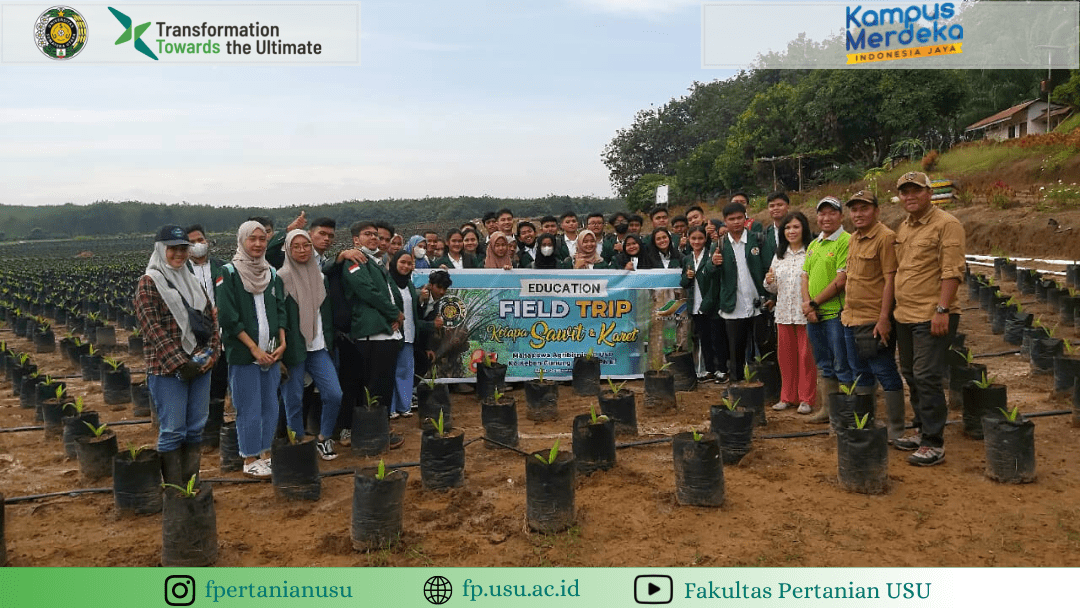 Visit from Students of Agribusiness Study Program, Faculty of Agriculture, Universitas Sumatera Utara to Gunung Para PTPN III (Persero) Plantation and PPK