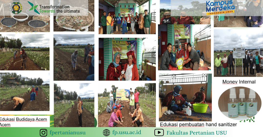 Community Service by USU Lecturers to Gapoktan Sumber Mufakat Village Partner in Tanah Karo Regency with the Cultivation of Acem-Acem (Oxalis dehradunensis Raizada.) and its Utilization as a Hand Sanitizer for Protection from Exposure to Chemical Pesticid