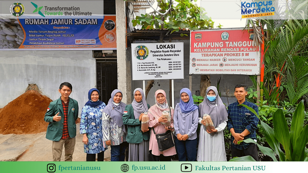 Community Service by the USU Faculty of Agriculture Lecturers to the Residents of Rengas Pulau Village, Medan Marelan District, Medan City by Increasing the Independence of Oyster Mushroom (Pleurotus ostreatus) Entrepreneurs in Providing Seeds