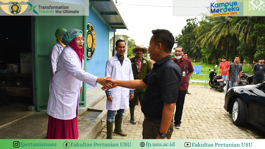 First Chicken Harvest At Teaching Farm Closed House, Faculty Of ...