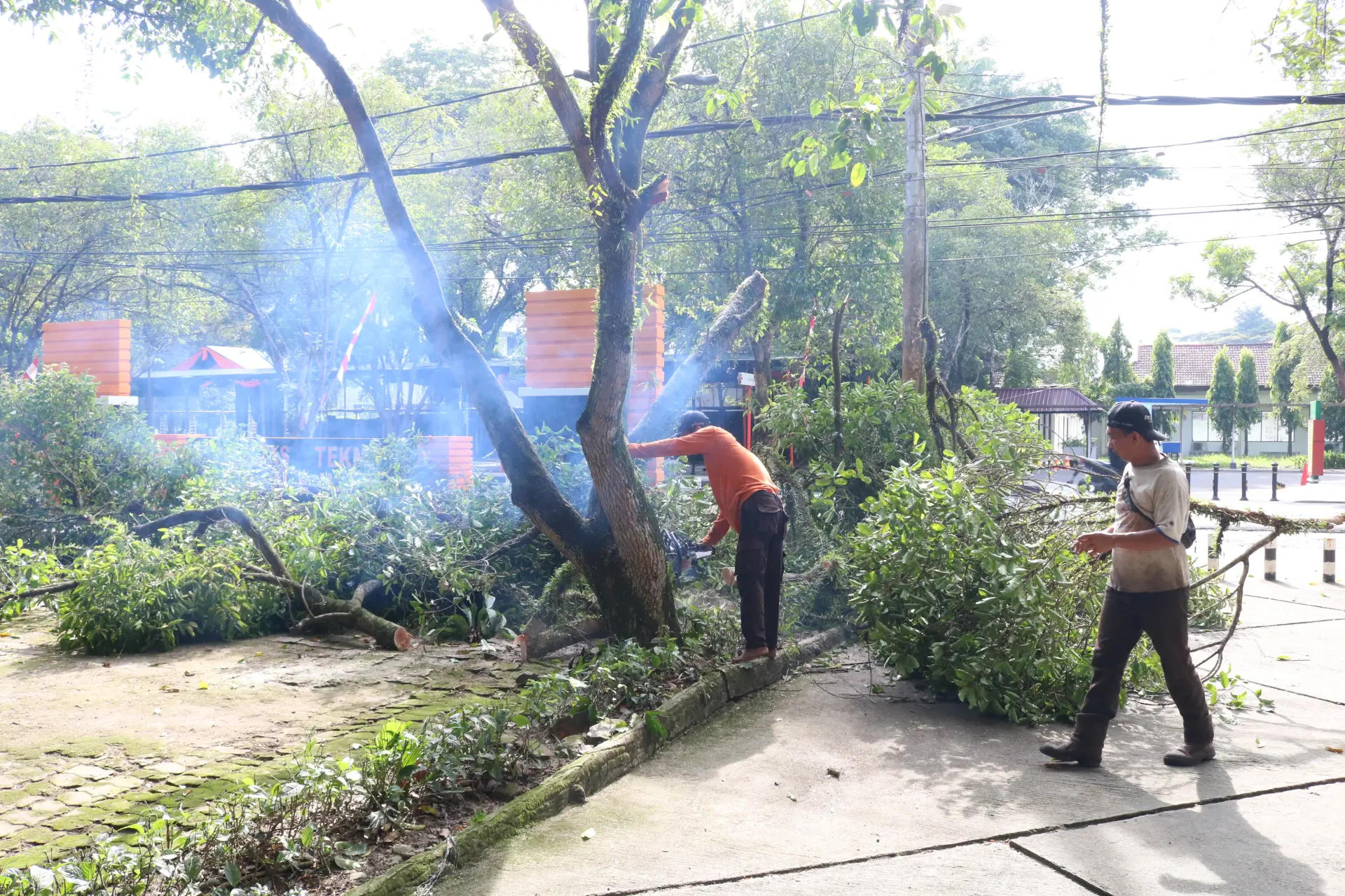 FT USU Rapikan Pohon dan Bersihkan Lingkungan untuk Wujudkan Kampus Sehat