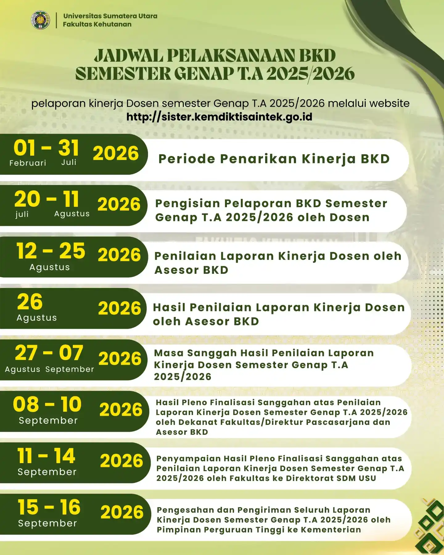 dummy berita