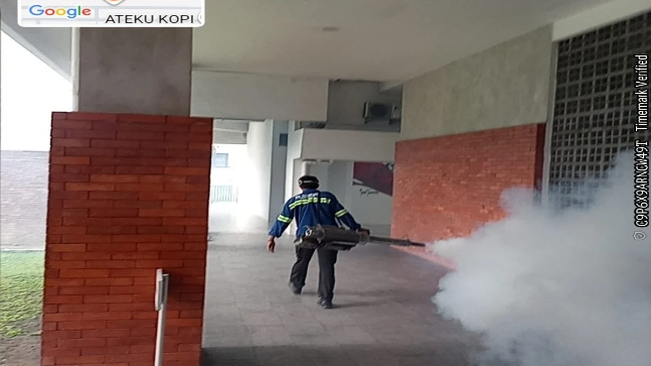 FEB USU Laksanakan Pengendalian Hama Serangga dan Fogging pada Oktober 2026