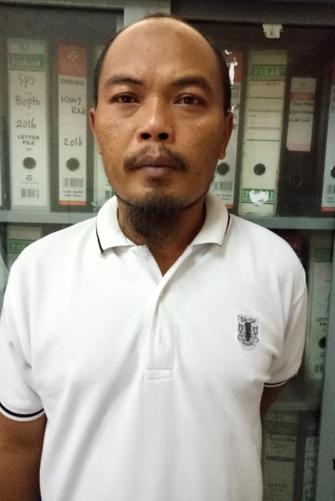 Maulidin