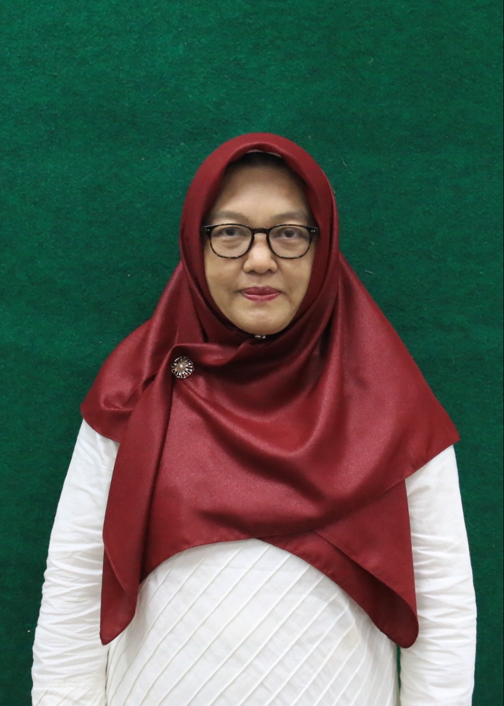 Prof. dr. Fazidah Aguslina Siregar, M.Kes., Ph.D
