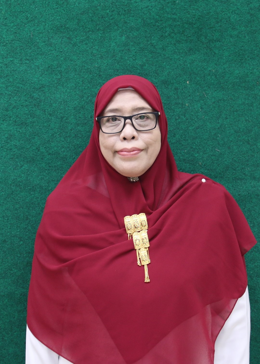 drh. Hiswani, M.Kes.