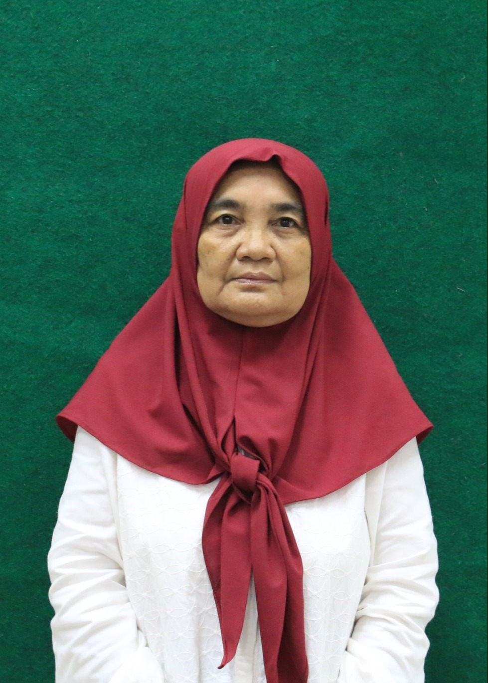 Api Kalsum Kalsum | Fakultas Kesehatan Masyarakat Universitas Sumatera Utara