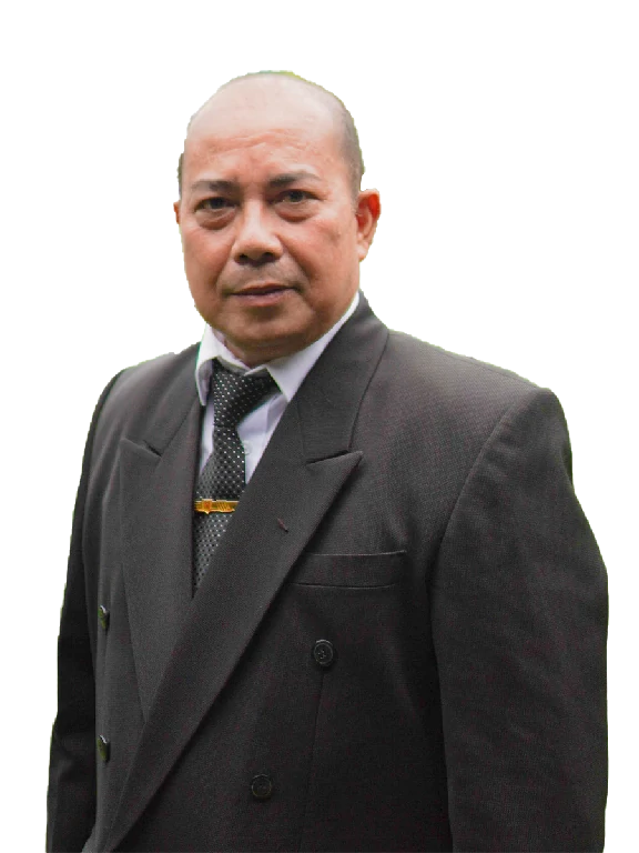 Prof. Dr. Romi Fadillah Rahmat, B.Comp.Sc., M.Sc.