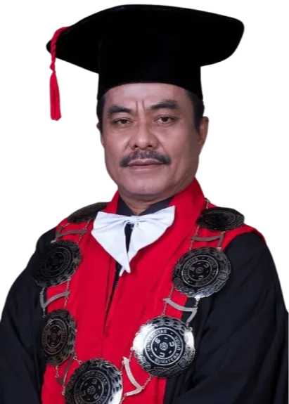 Prof. Dr. Budiman Ginting, S.H., M.Hum