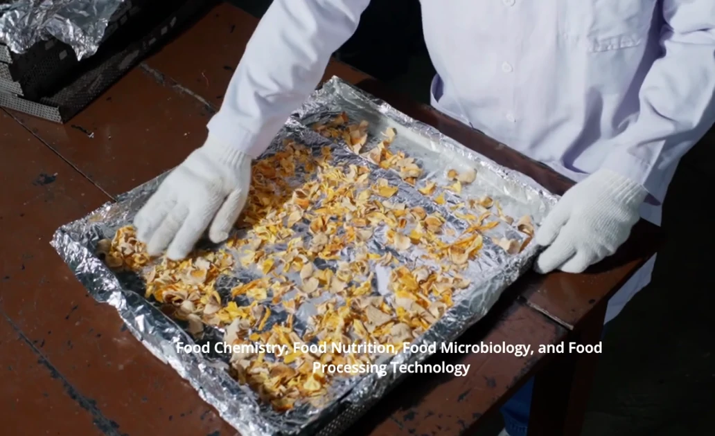Food Process Engineering