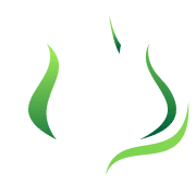 green leaf