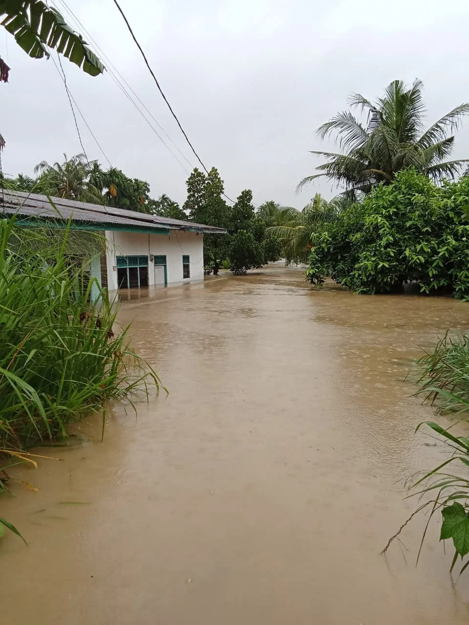 Situasi Banjir Medan November 2025