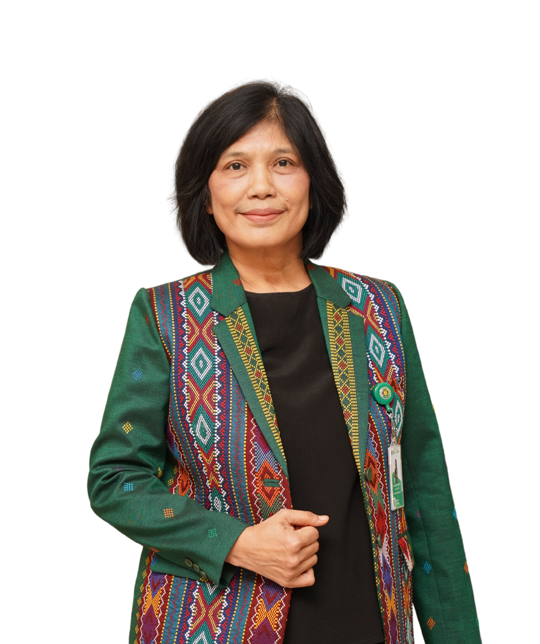 direktur Direktorat Inovasi, Pembangunan Berkelanjutan, dan Kawasan Sains Teknologi