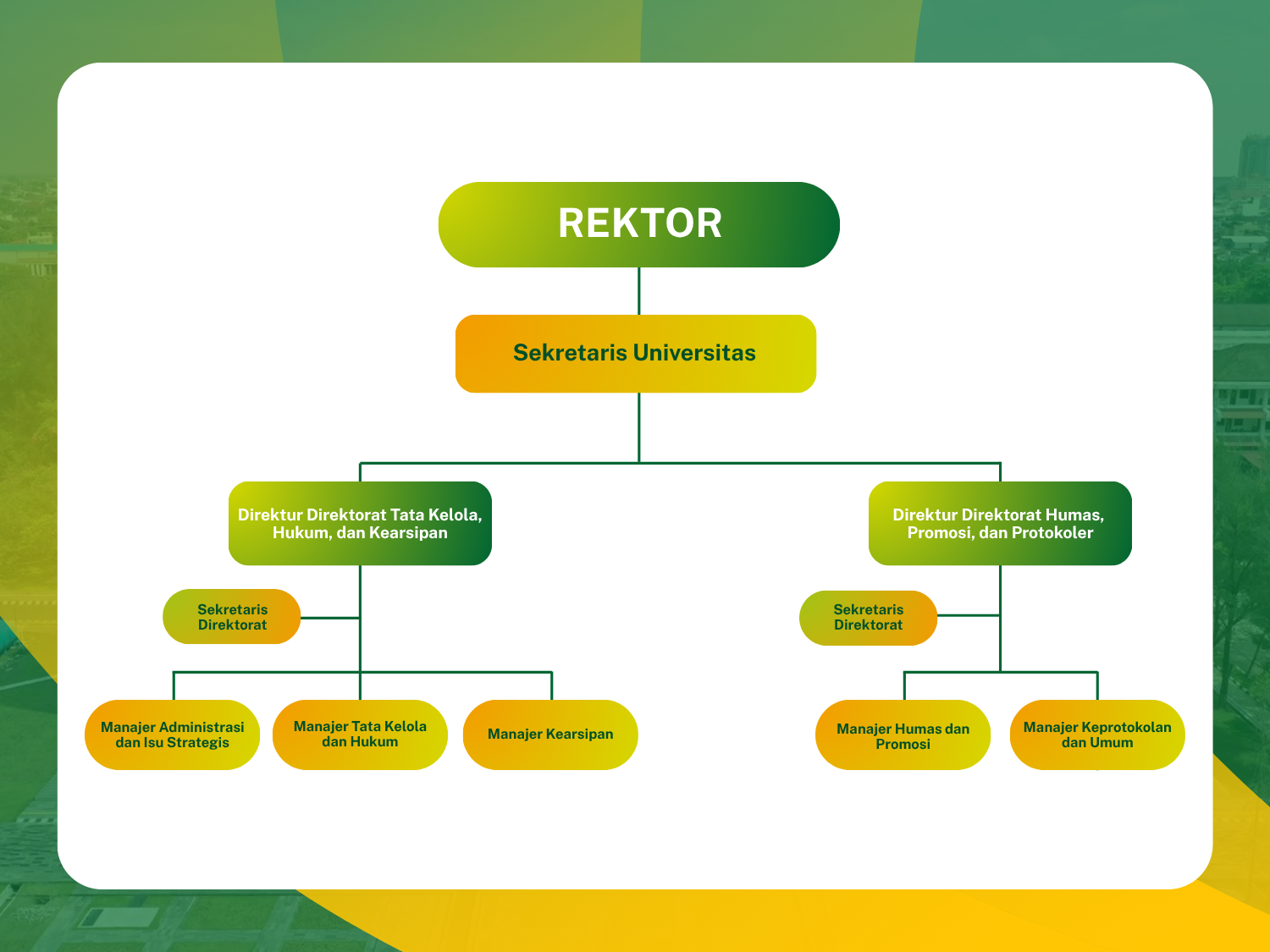 Sekretariat Universitas
